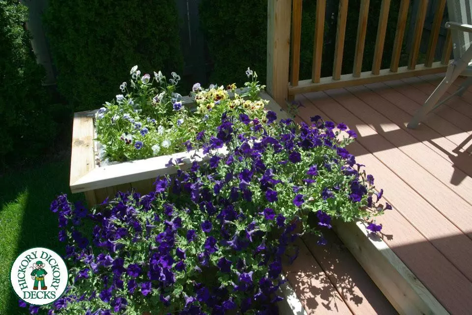 Deck Picture 3