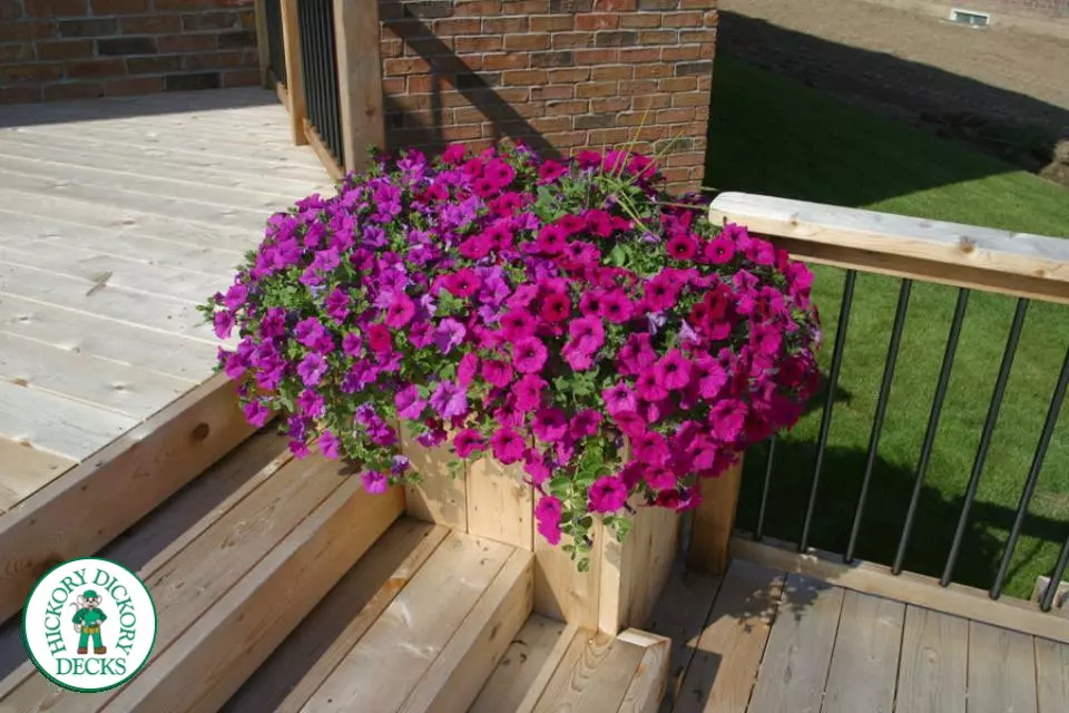 Deck Picture 4