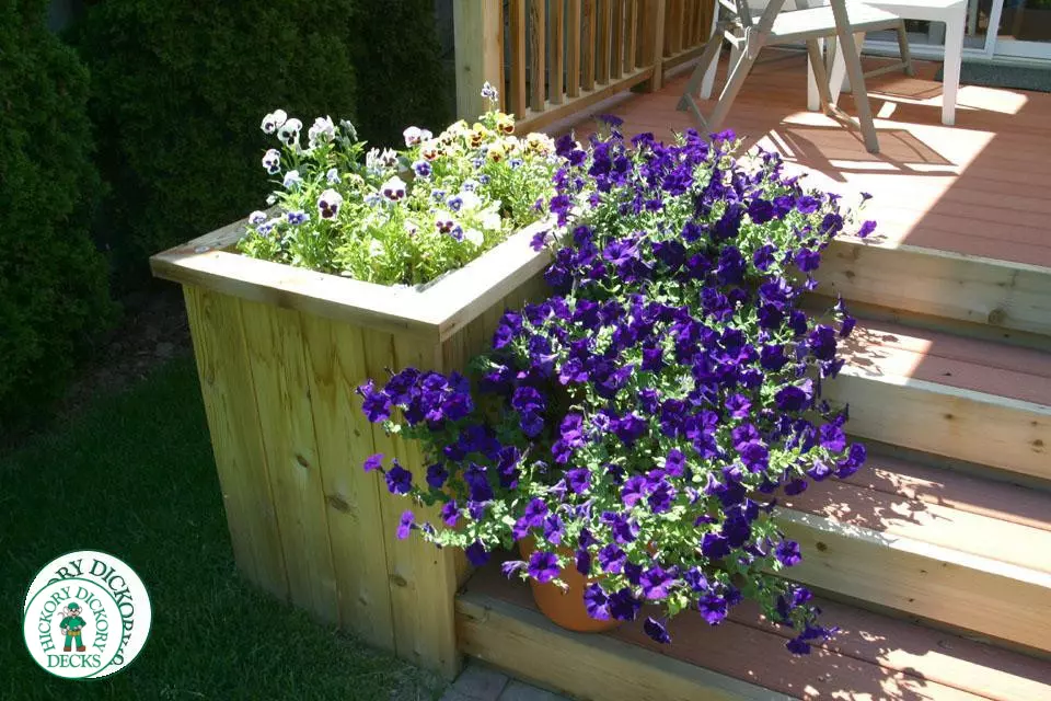 Deck Picture 8