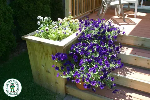 Deck Picture 8