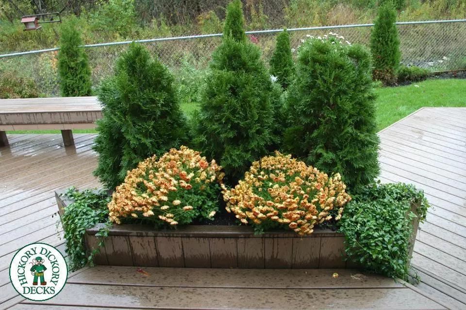 Deck Picture 6 Deck Picture 6