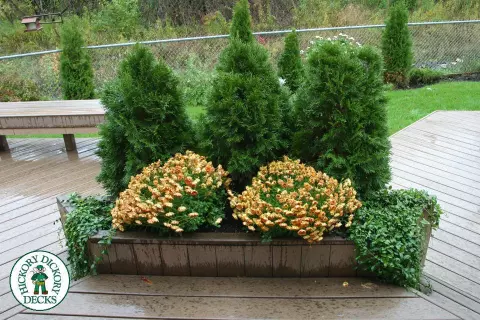 Deck Picture 6 Deck Picture 6