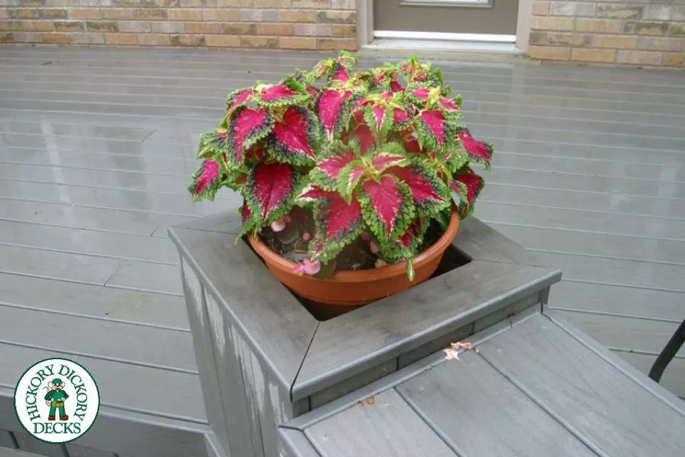Deck Picture 6