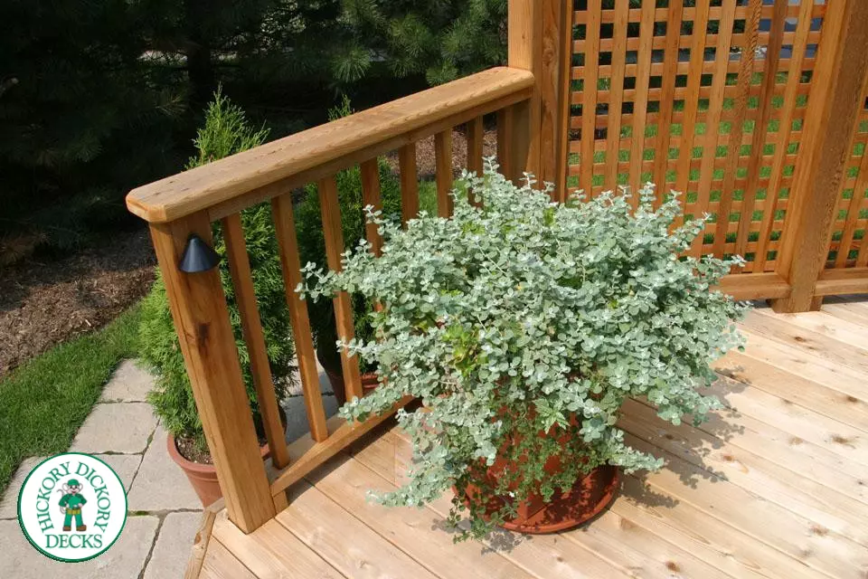 Deck Picture 6