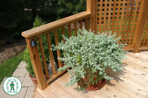 Deck Picture 6