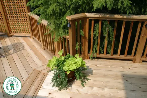 Deck Picture 12