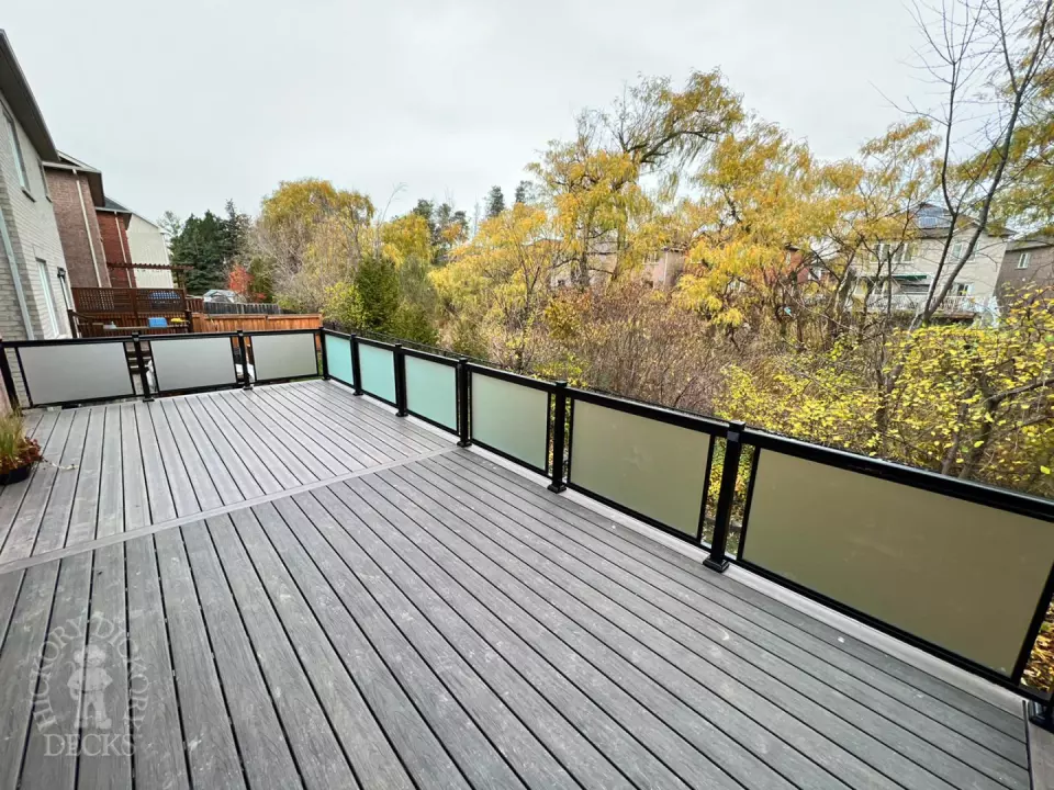 frosted Glass Armadillo