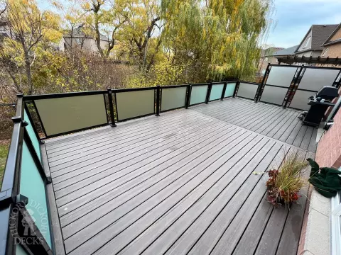 frosted Glass Armadillo