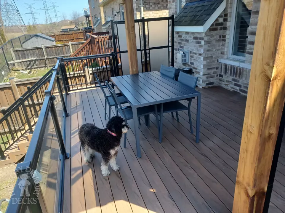 Deck Picture 2