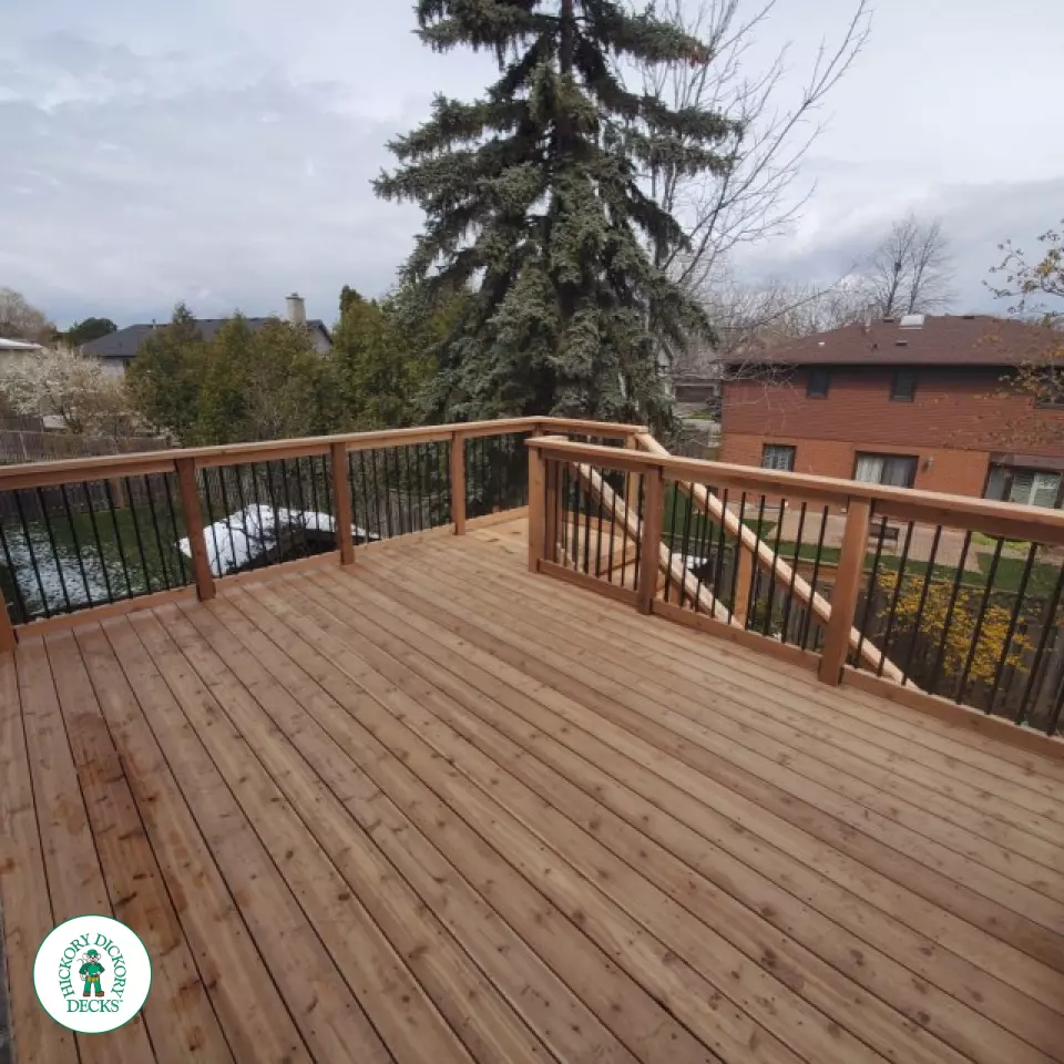 Cedar Multilevel Walkout