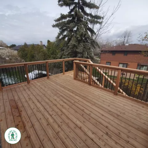 Cedar Multilevel Walkout