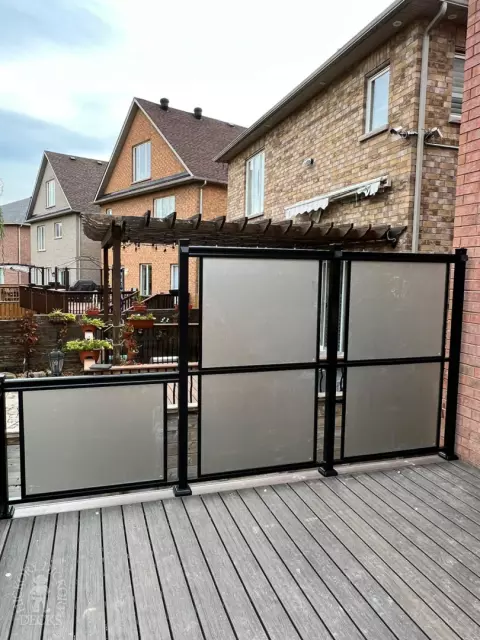 frosted Glass Armadillo