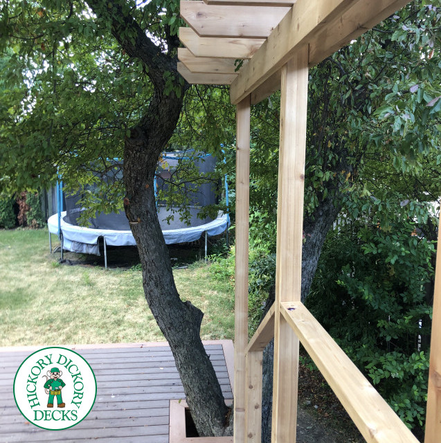 TruNorth deck with Mocha Caramel trim, wraparound steps, lights and a pergola, built around a tree. Etobicoke, Ontario